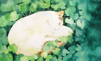 孕妇喝水多好吗 一起来探究一下吧